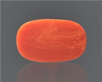 Natural Coral  14.02RTS-24878